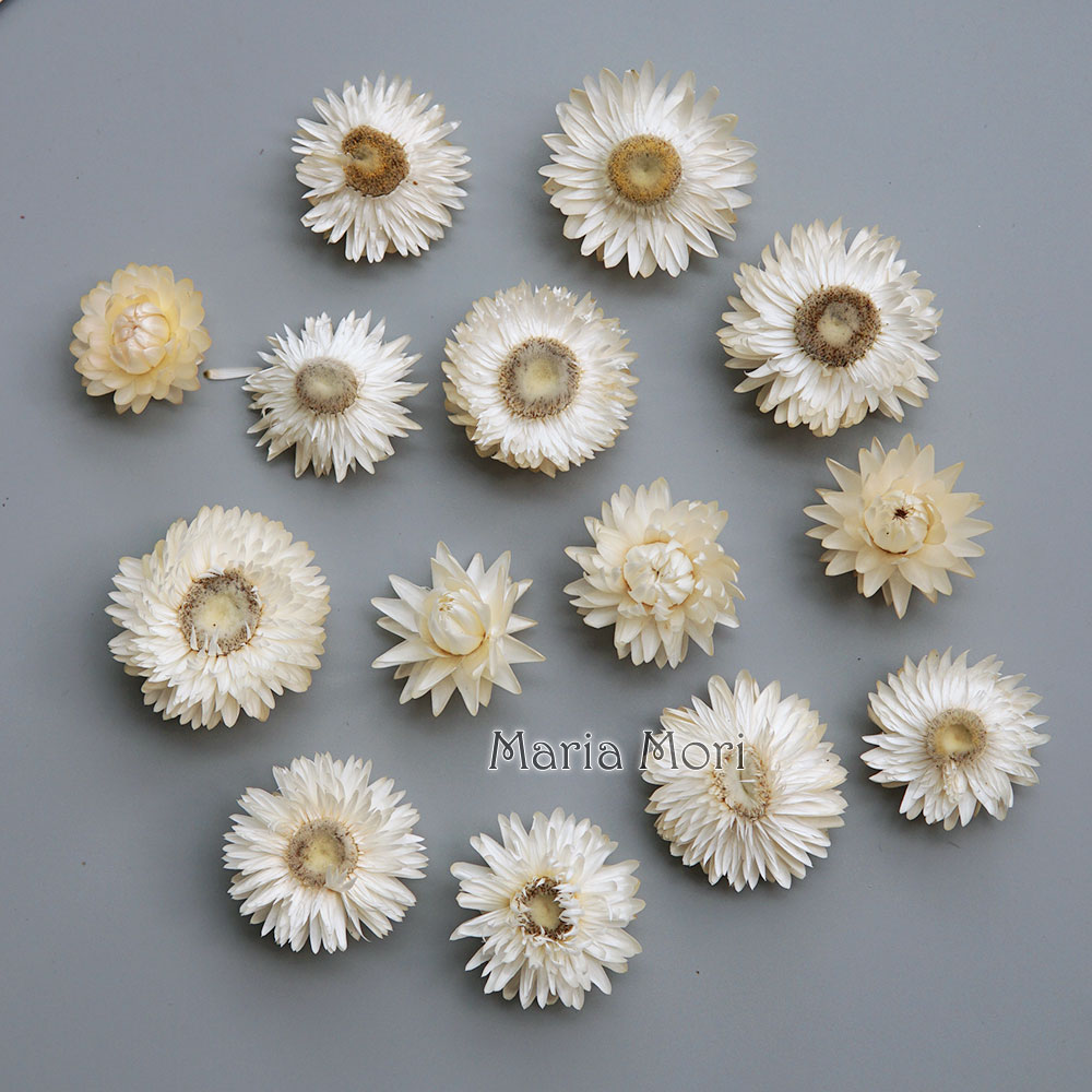 天然のドライでカラフルな菊の花輪,手作りのヘアアクセサリー, - Baby Products のレビューと価格